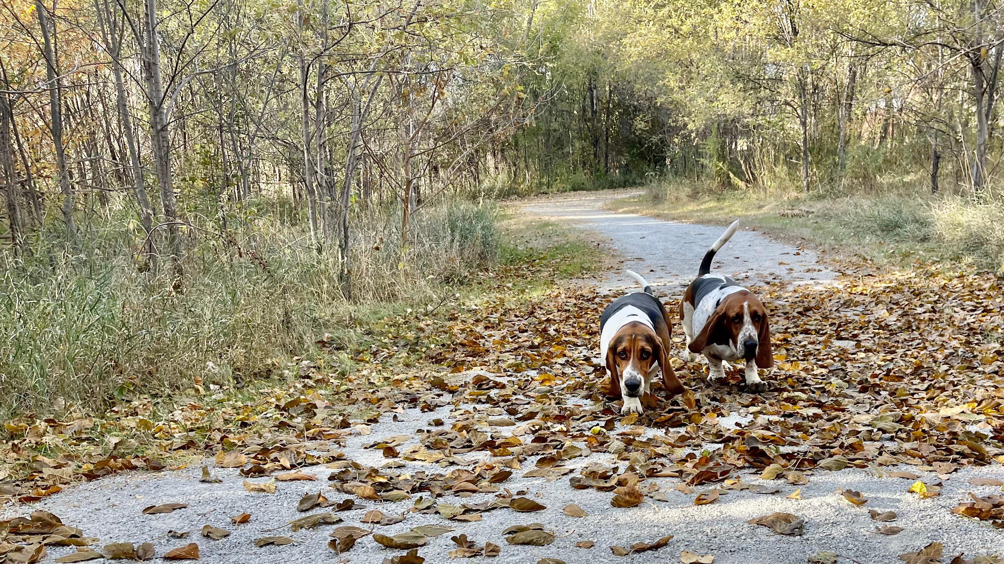 Trail time